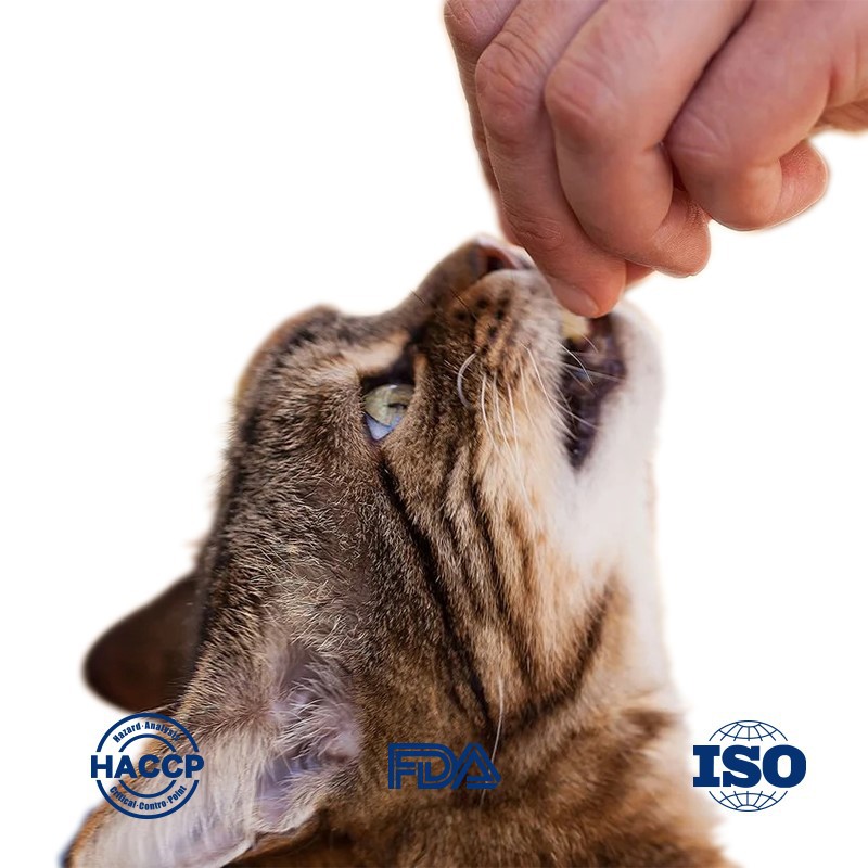 -.jpg